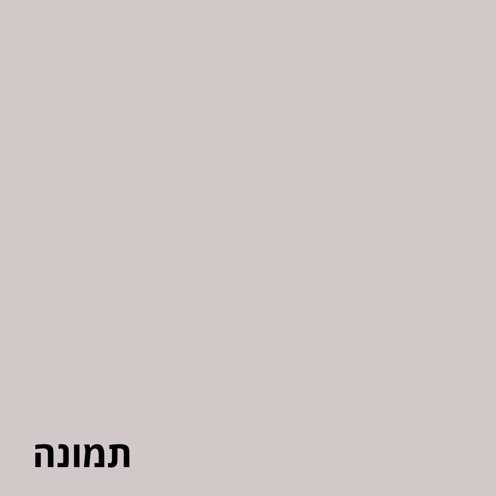 תמונה ללא תיאור